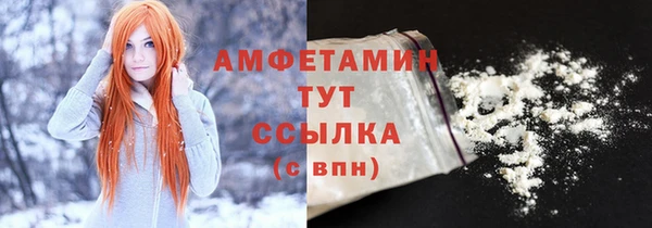 ПСИЛОЦИБИНОВЫЕ ГРИБЫ Верея