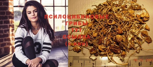 ПСИЛОЦИБИНОВЫЕ ГРИБЫ Верея
