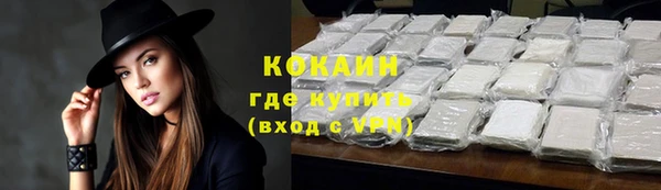 ПСИЛОЦИБИНОВЫЕ ГРИБЫ Верея