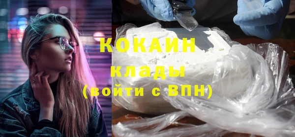 ПСИЛОЦИБИНОВЫЕ ГРИБЫ Верея