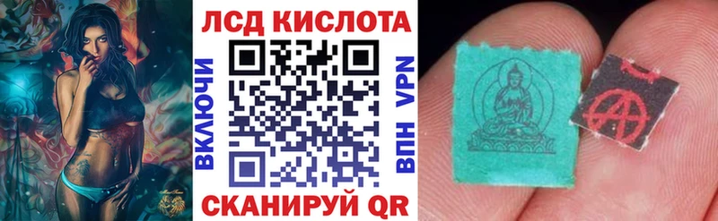 закладка  omg рабочий сайт  Наркотические марки 1500мкг  darknet наркотические препараты  Ессентуки 