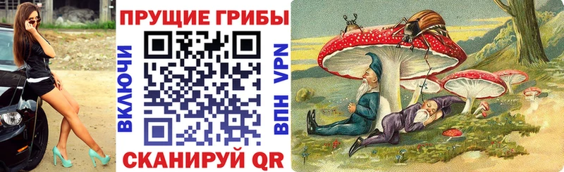 Галлюциногенные грибы мицелий ссылка на мегу ССЫЛКА Ессентуки